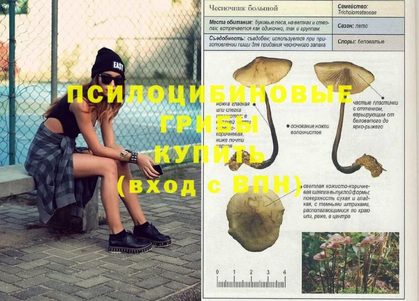 герыч Алексеевка