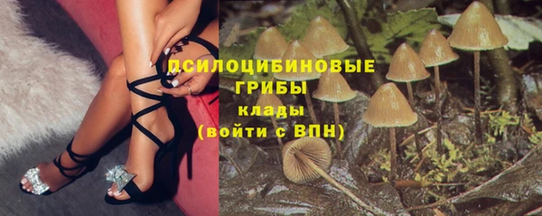 кокс Алзамай
