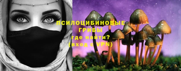 герыч Алексин