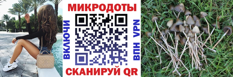 наркошоп  Наволоки  Галлюциногенные грибы прущие грибы 